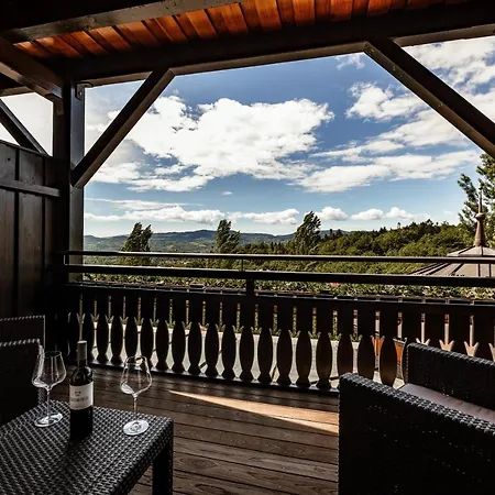 Wohnen Beim Wein Tschermonegg Hotel *