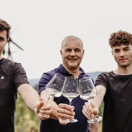 Wohnen Beim Wein Tschermonegg *