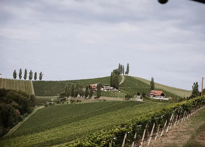 فندق Tschermonegg 